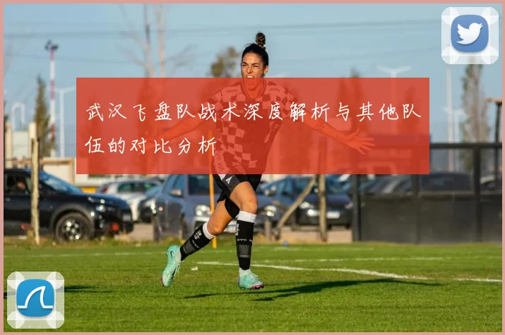 武汉飞盘队战术深度解析与其他队伍的对比分析