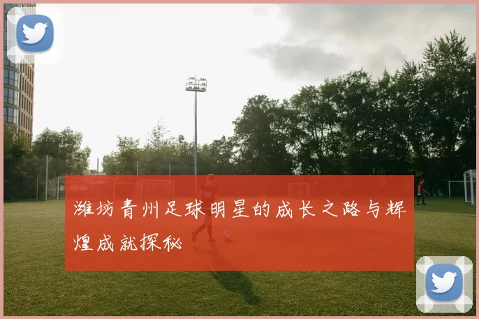 潍坊青州足球明星的成长之路与辉煌成就探秘