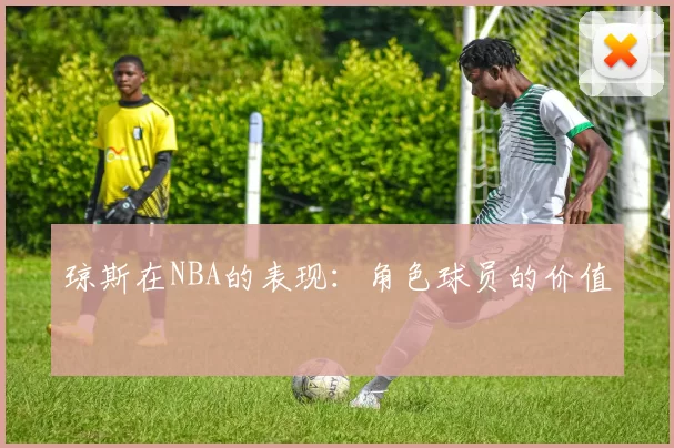 琼斯在NBA的表现：角色球员的价值