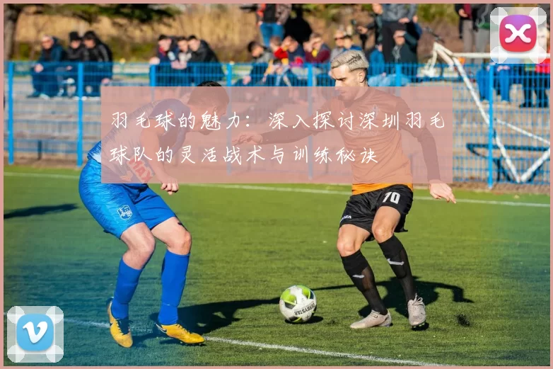 羽毛球的魅力：深入探讨深圳羽毛球队的灵活战术与训练秘诀