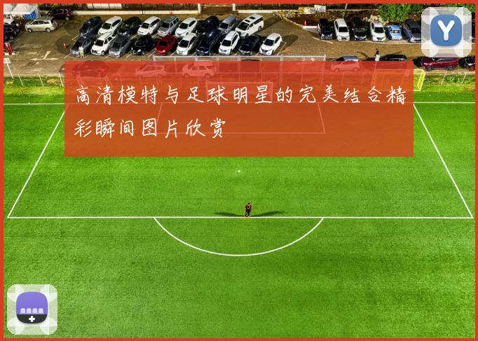 高清模特与足球明星的完美结合精彩瞬间图片欣赏
