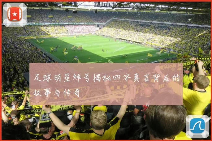 足球明星绰号揭秘四字真言背后的故事与传奇
