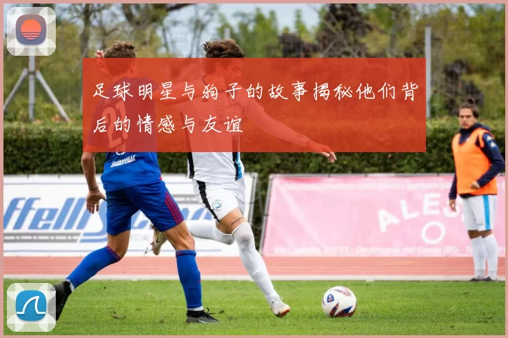 足球明星与狗子的故事揭秘他们背后的情感与友谊