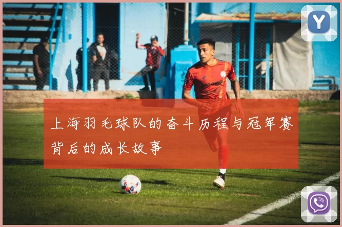 上海羽毛球队的奋斗历程与冠军赛背后的成长故事