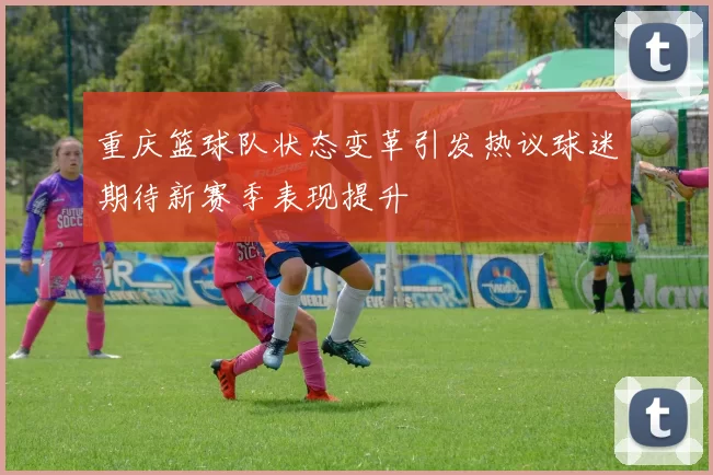 重庆篮球队状态变革引发热议球迷期待新赛季表现提升