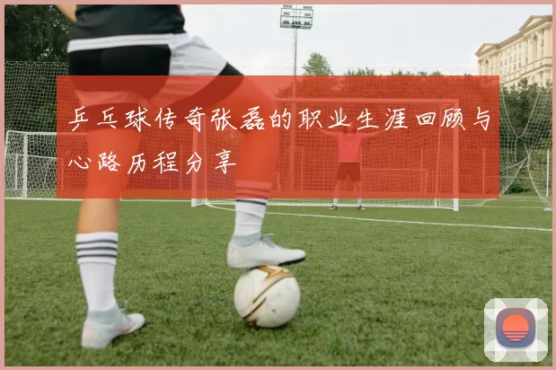 乒乓球传奇张磊的职业生涯回顾与心路历程分享