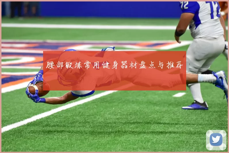 腰部锻炼常用健身器材盘点与推荐
