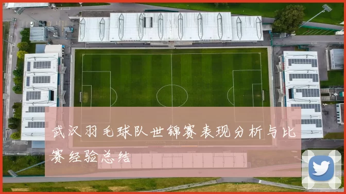 武汉羽毛球队世锦赛表现分析与比赛经验总结
