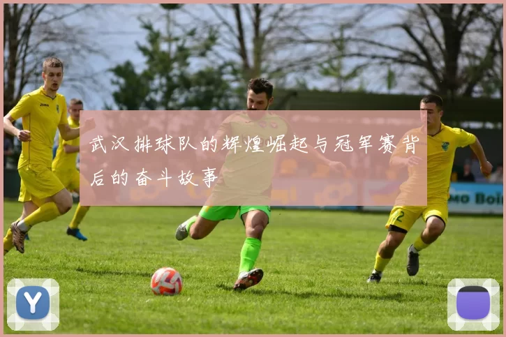 武汉排球队的辉煌崛起与冠军赛背后的奋斗故事