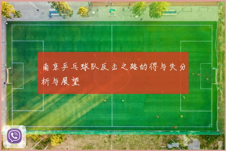 南京乒乓球队反击之路的得与失分析与展望