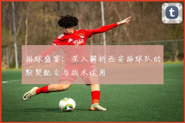 排球盛宴：深入解析西安排球队的默契配合与战术运用