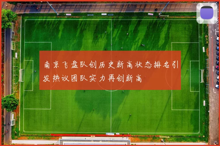 南京飞盘队创历史新高状态排名引发热议团队实力再创新高
