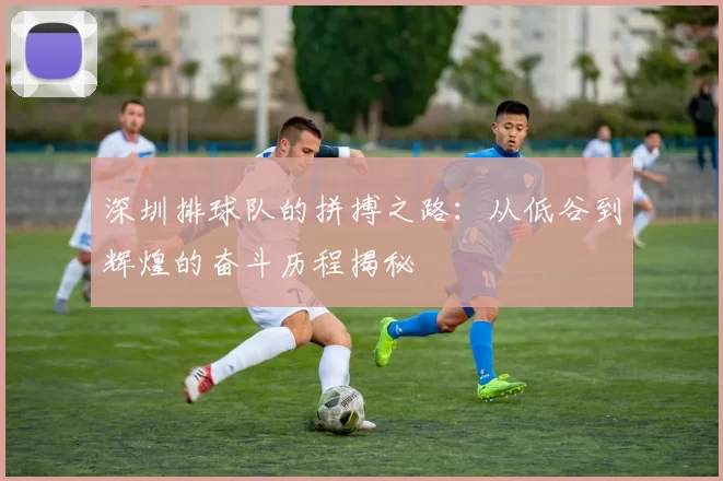 深圳排球队的拼搏之路：从低谷到辉煌的奋斗历程揭秘