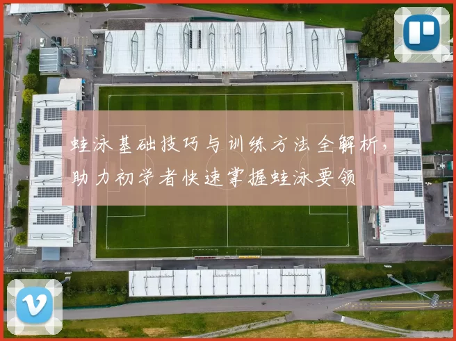 蛙泳基础技巧与训练方法全解析，助力初学者快速掌握蛙泳要领