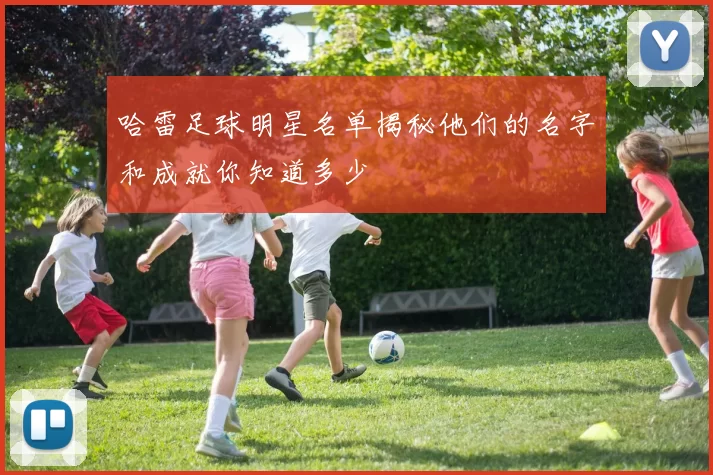 哈雷足球明星名单揭秘他们的名字和成就你知道多少