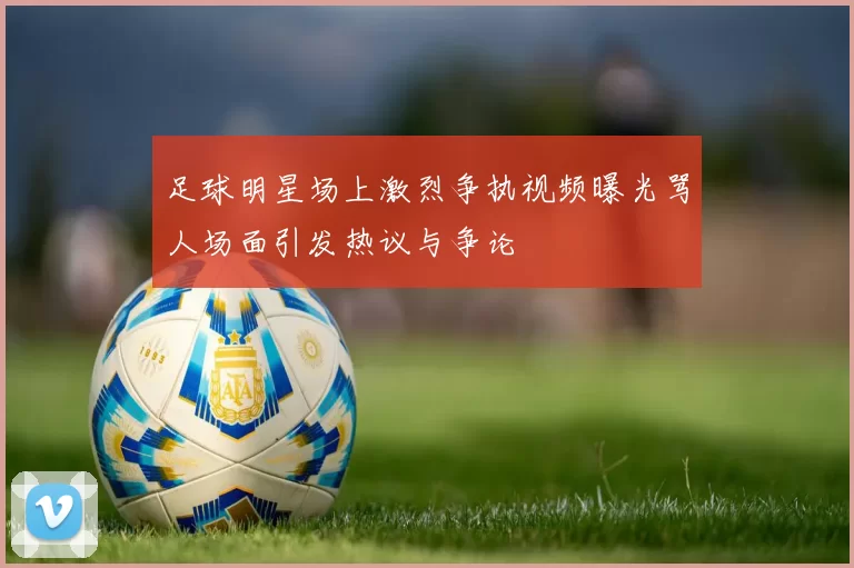 足球明星场上激烈争执视频曝光骂人场面引发热议与争论