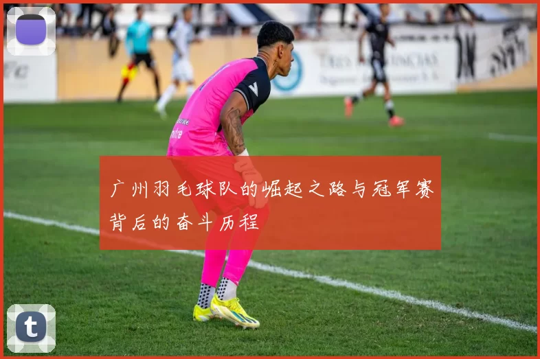 广州羽毛球队的崛起之路与冠军赛背后的奋斗历程