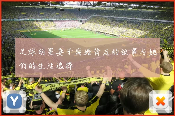 足球明星妻子离婚背后的故事与她们的生活选择