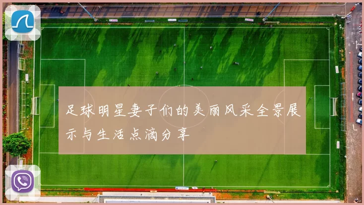 足球明星妻子们的美丽风采全景展示与生活点滴分享
