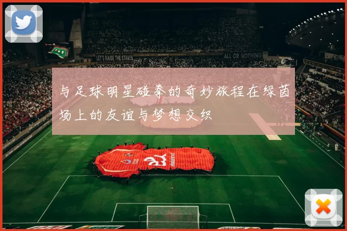 与足球明星碰拳的奇妙旅程在绿茵场上的友谊与梦想交织