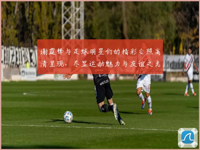 谢霆锋与足球明星们的精彩合照高清呈现，尽显运动魅力与友谊之光