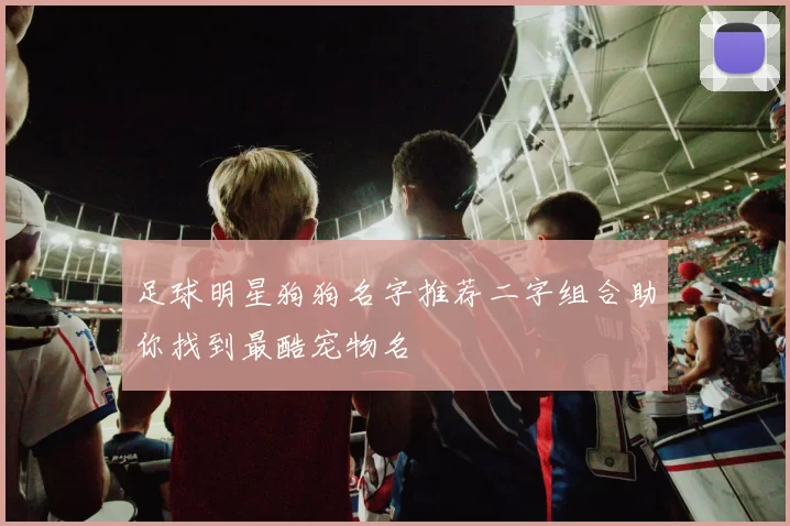 足球明星狗狗名字推荐二字组合助你找到最酷宠物名