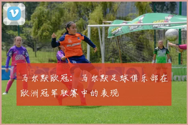 马尔默欧冠：马尔默足球俱乐部在欧洲冠军联赛中的表现