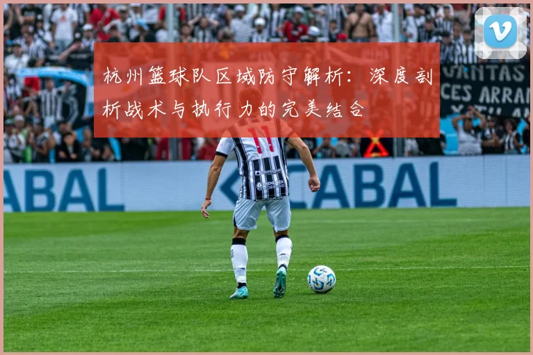 杭州篮球队区域防守解析：深度剖析战术与执行力的完美结合