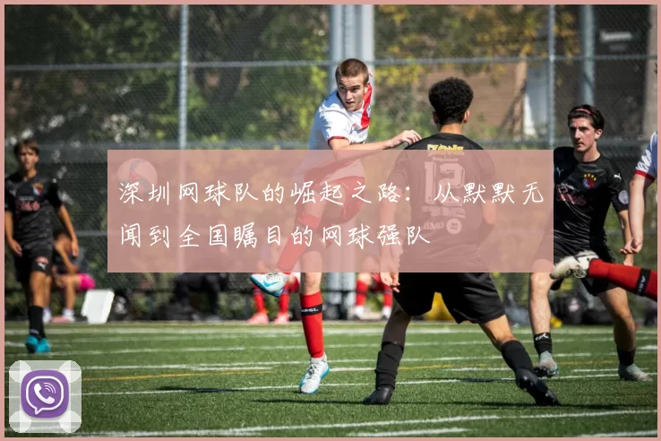 深圳网球队的崛起之路：从默默无闻到全国瞩目的网球强队